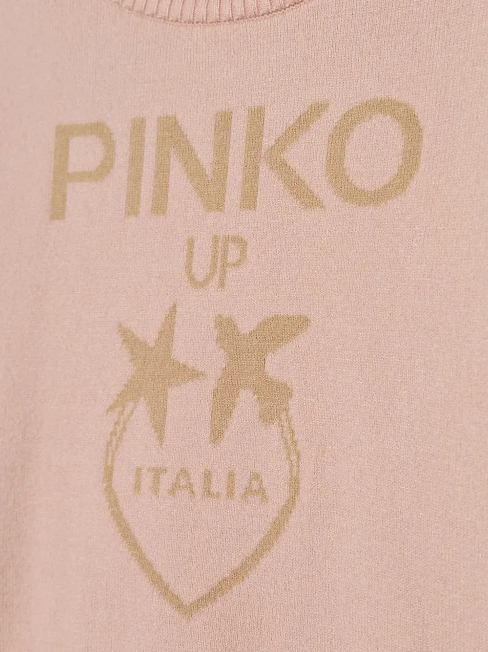 Pinko Kids Intarsia trui met logo Roze