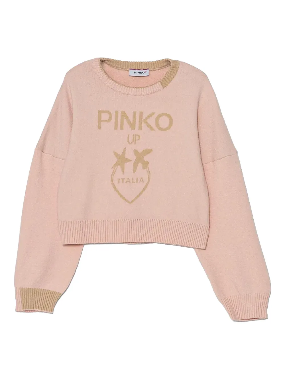 Pinko Kids Intarsia trui met logo Roze
