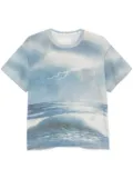 ERL landscape-print T-shirt - Blue