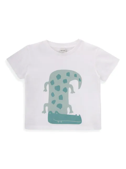Knot playera Alligator