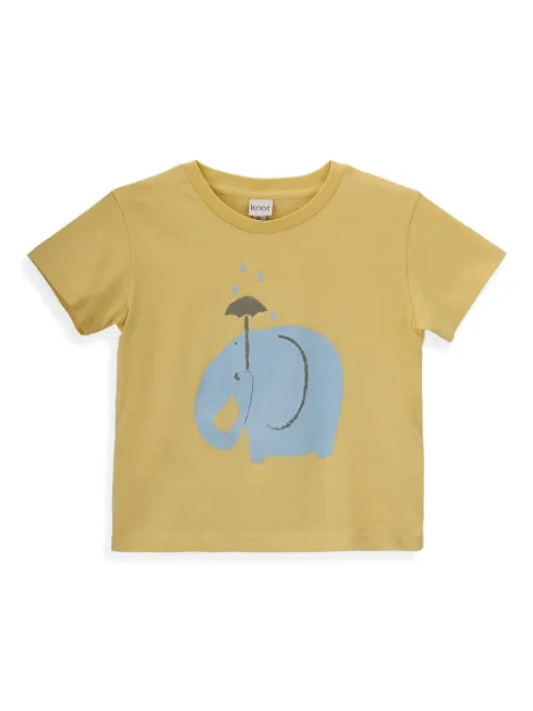 Knot playera Elephant