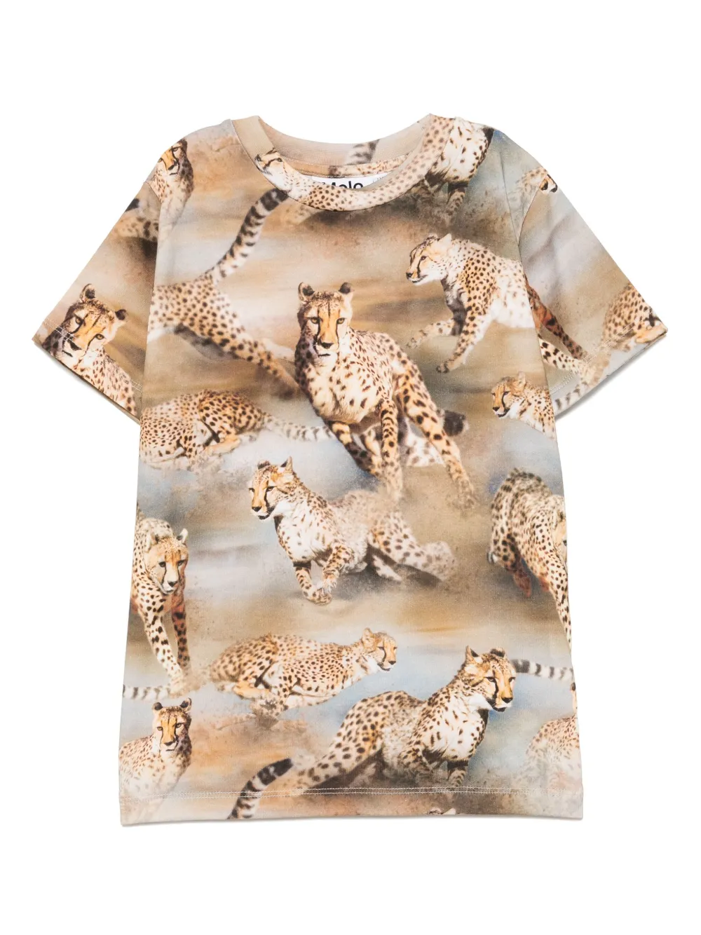 Molo Raul top | Brown | Image 1