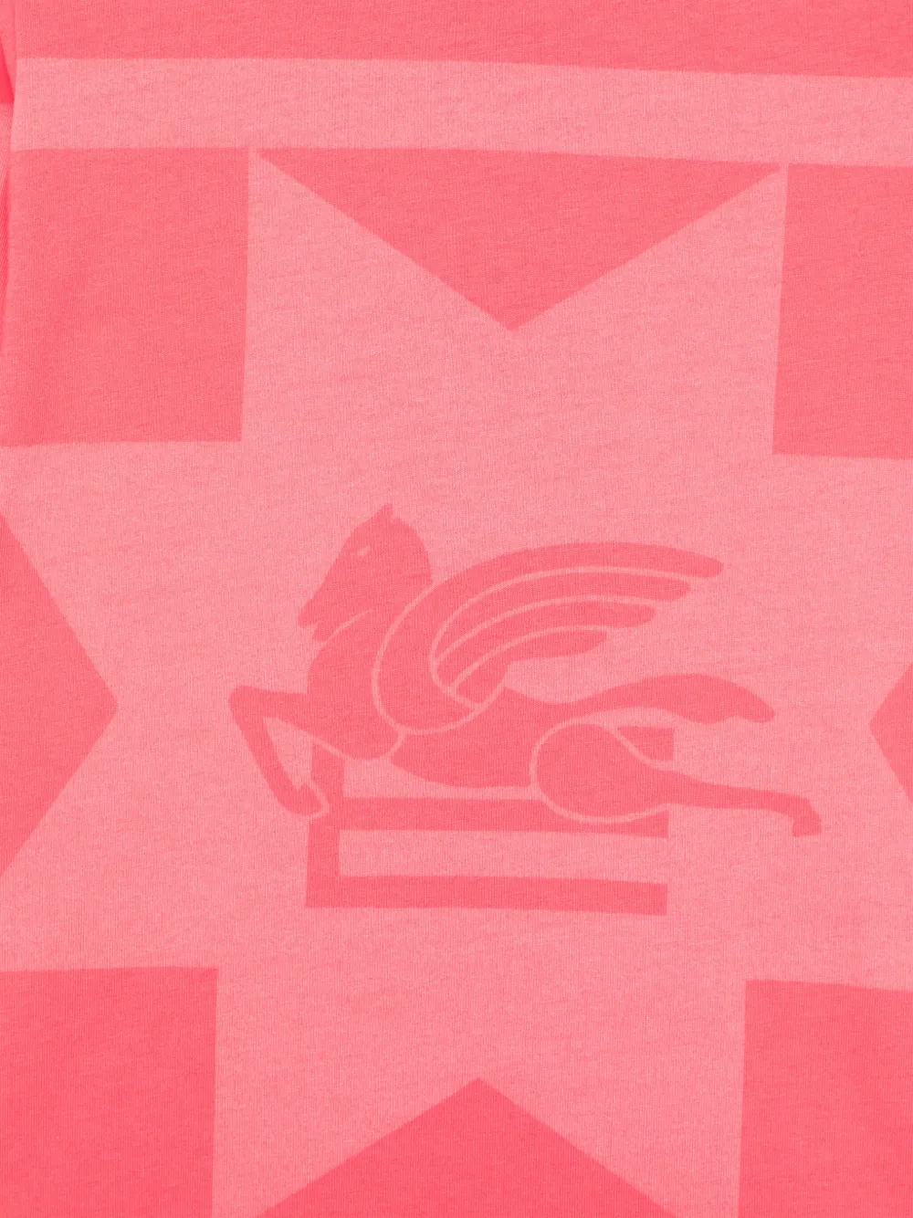 ETRO PEGASO-PRINT T-SHIRT