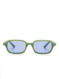 Ray-Ban 4455 sunglasses - Green