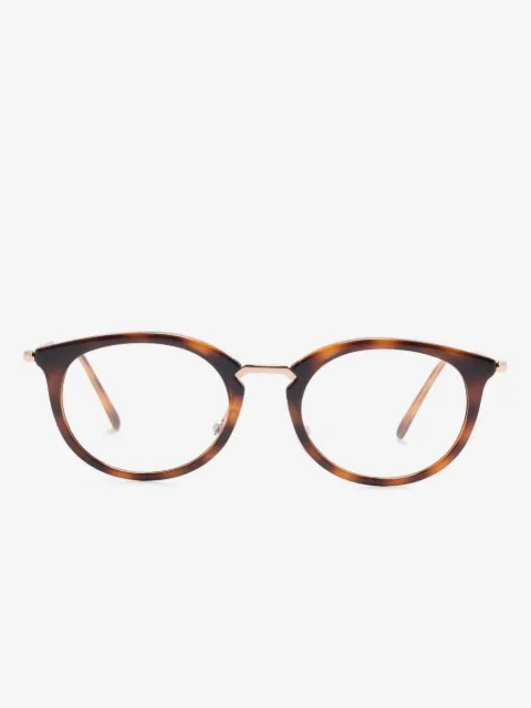 Ray-Ban 7255 glasses