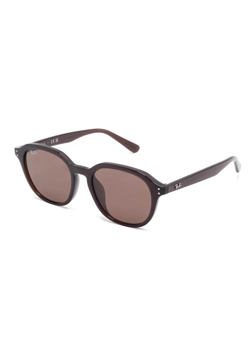 Ray-Ban RB4459D zonnebril - Bruin