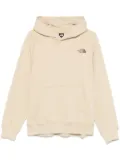 The North Face Raglan Redbox hoodie - Neutrals