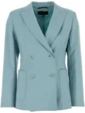 Weekend Max Mara Nervoso blazer - Blue