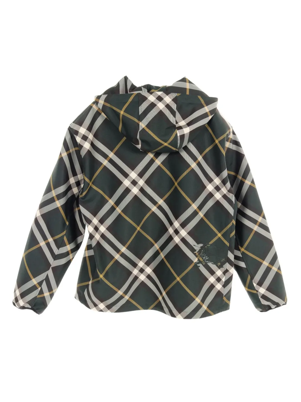 Burberry Pre-Owned 2010s Mega Check hooded jacket - Groen