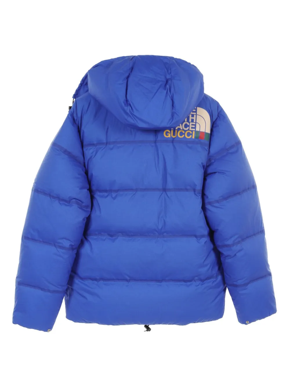 Gucci Pre-Owned x The North Face 2010s donsjack - Blauw