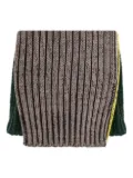 Homme Plissé Issey Miyake ribbed scarf - Brown