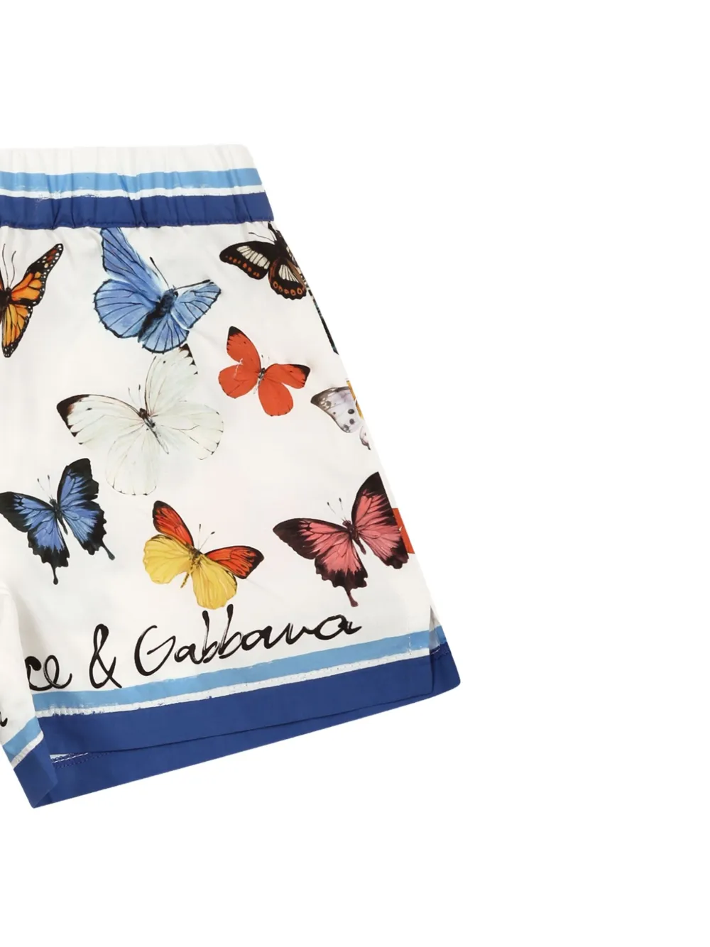Dolce & Gabbana Kids Shorts met vlinderprint Wit