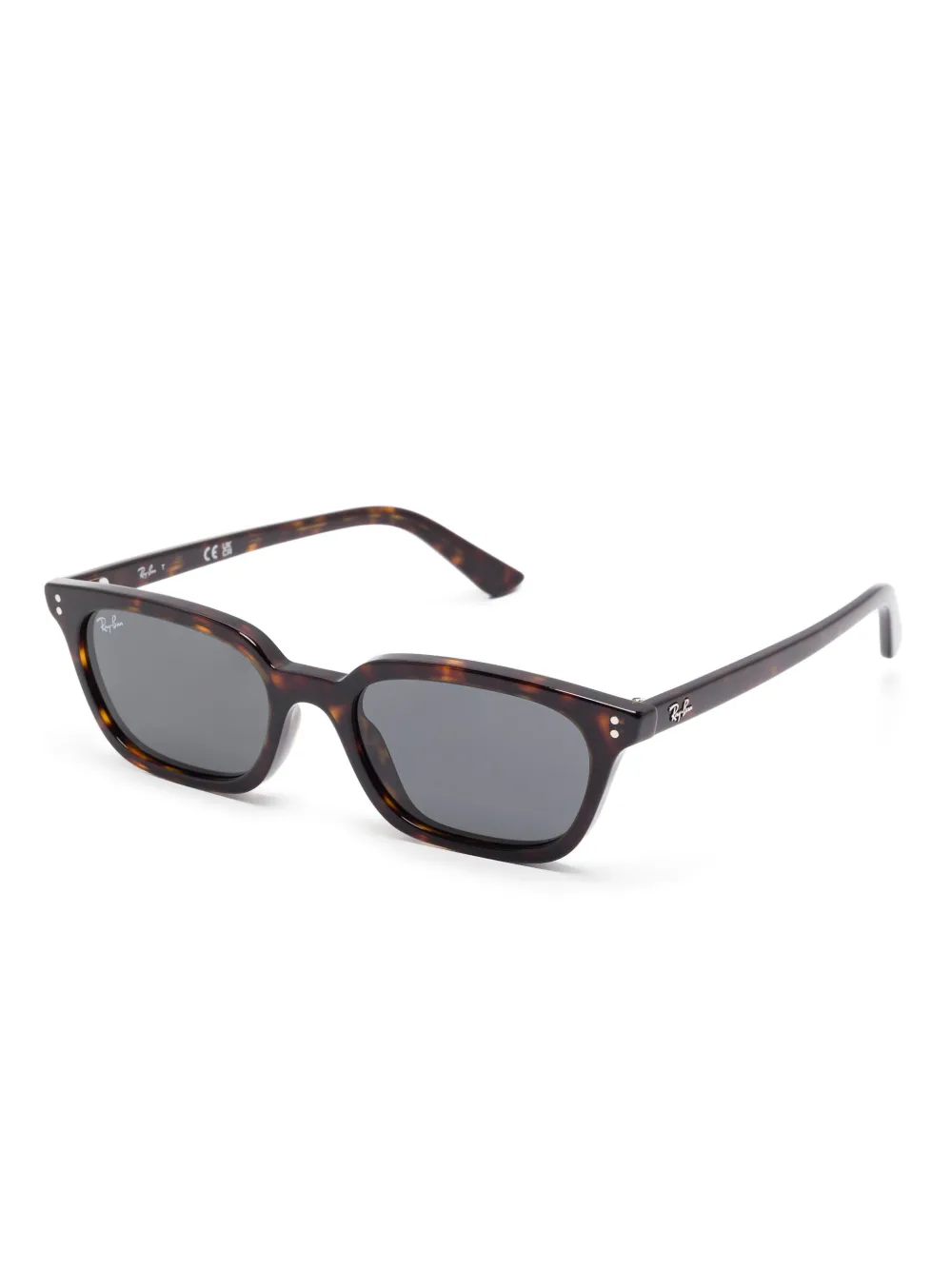 Ray-Ban Zaya zonnebril Bruin