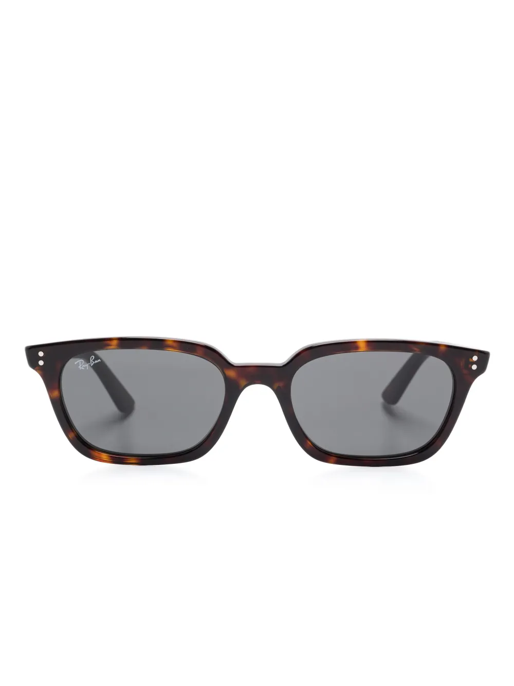 Ray-Ban Zaya zonnebril Bruin