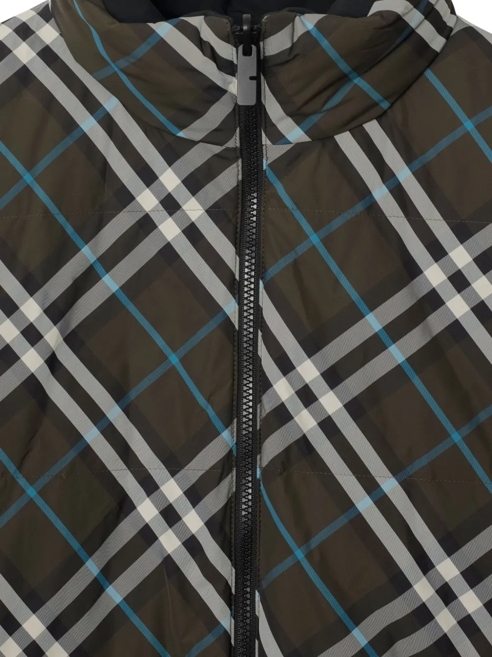 Burberry Geruit omkeerbaar jack Groen