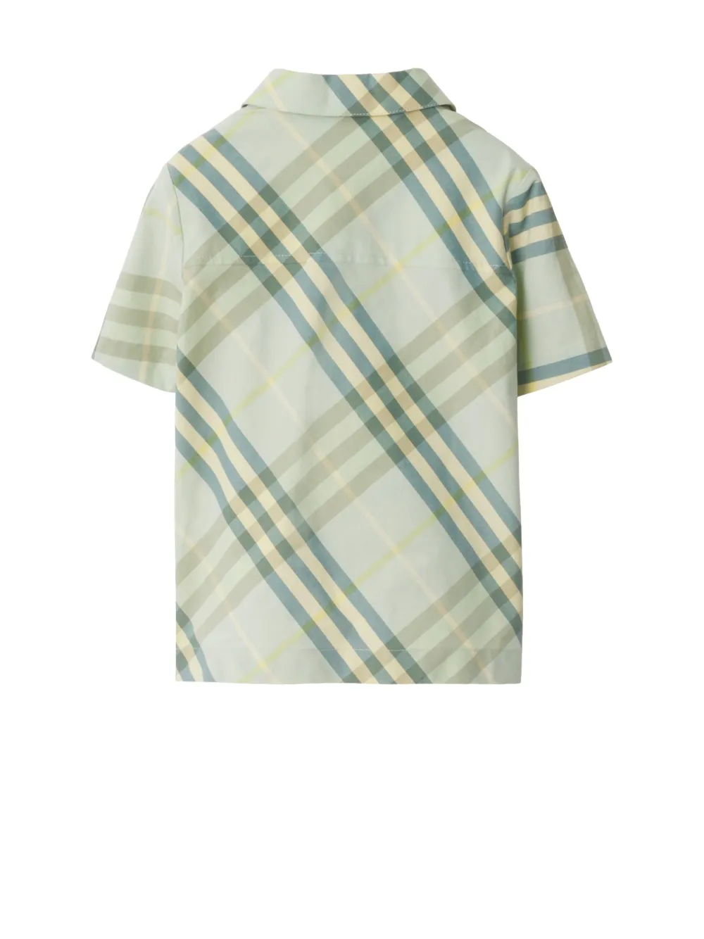 Burberry Kids Geruit shirt Groen
