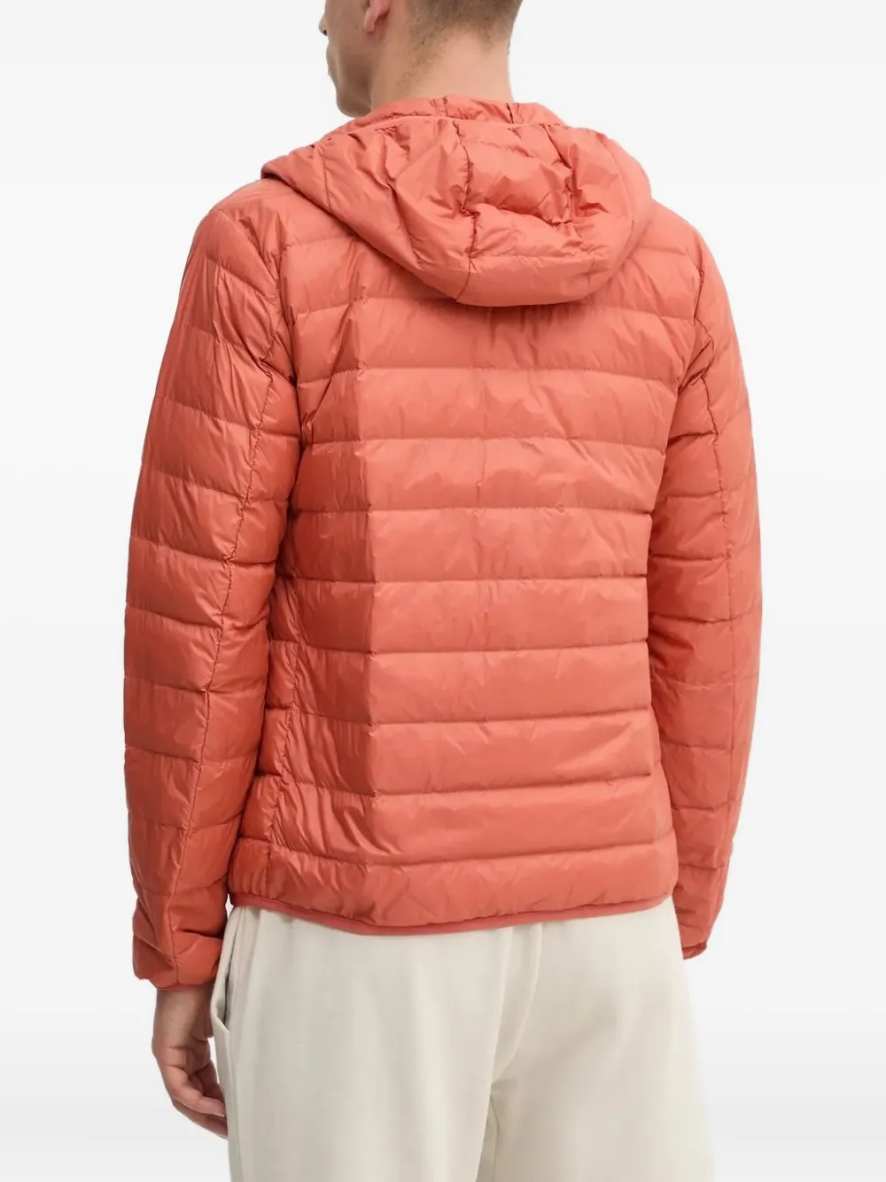 Ea7 Emporio Armani Gevoerd jack met capuchon Oranje