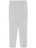 Peserico stretch trousers - Grey