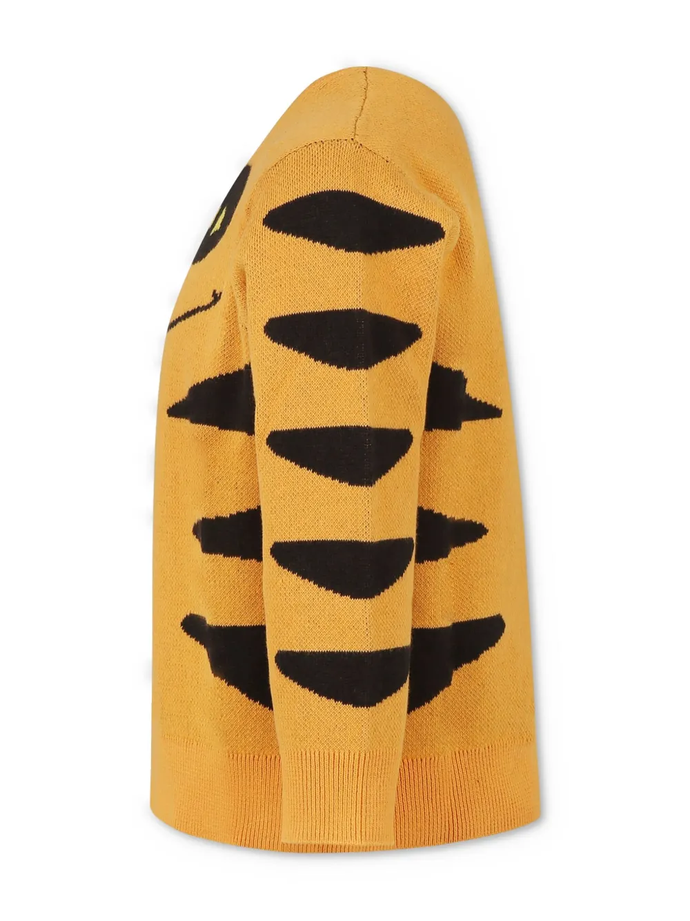 Stella McCartney Kids Orange Cat trui Oranje