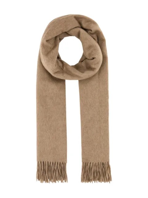Max Mara Baci scarf