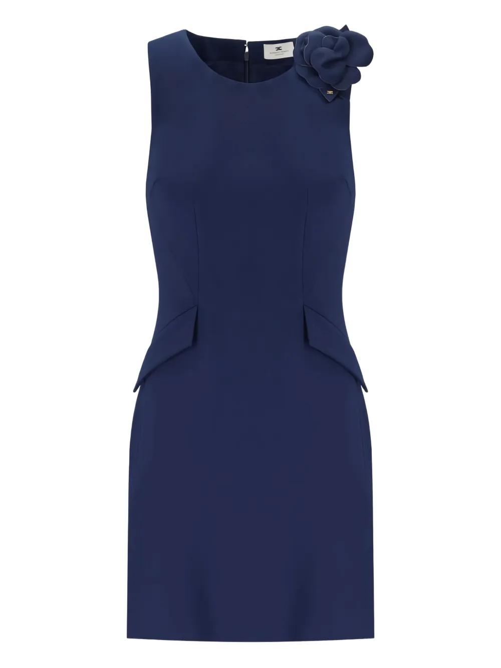 Elisabetta Franchi Mouwloze jurk Blauw