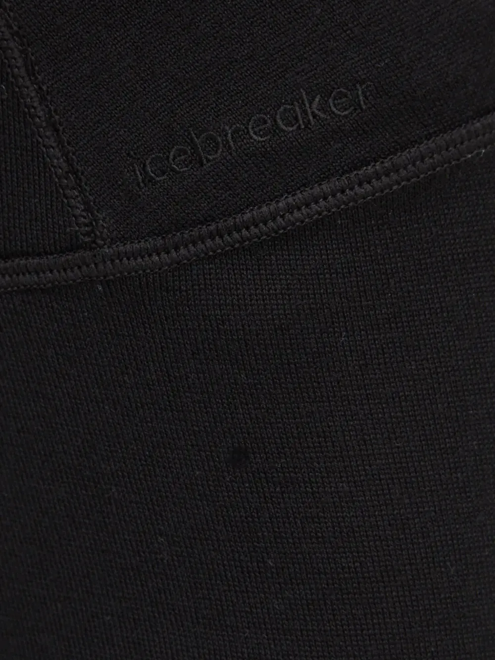 Icebreaker Logo-waistband Leggings In Black