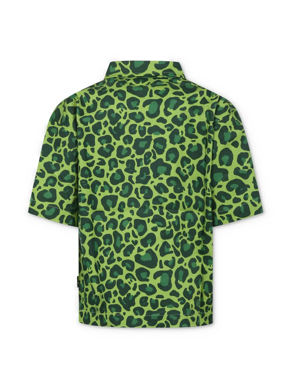 Molo Richie shirt - Groen