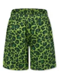 Molo Avart shorts - Green