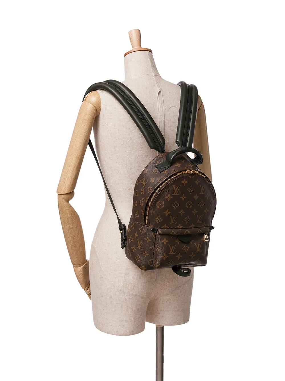 Louis Vuitton Pre-Owned 2019 Monogram Palm Springs PM backpack - Bruin