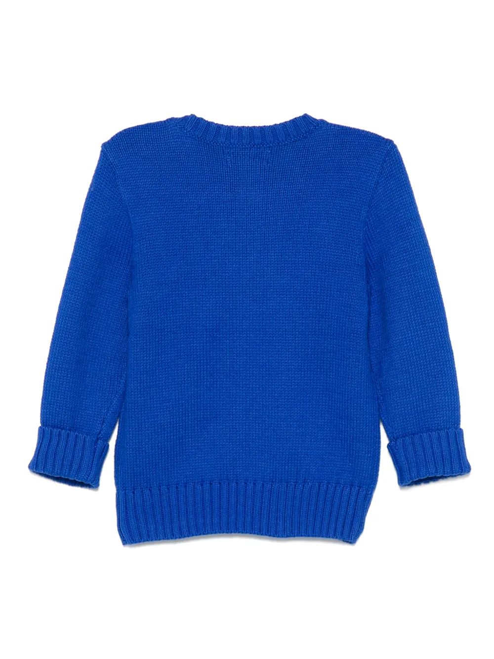POLO RALPH LAUREN KIDS Polo Bear trui Blauw