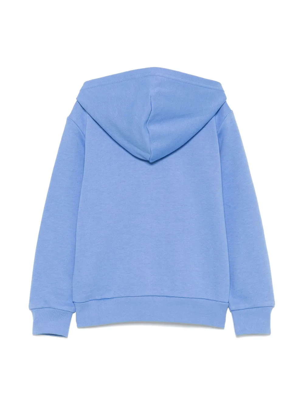 POLO RALPH LAUREN KIDS Hoodie met patroon Blauw