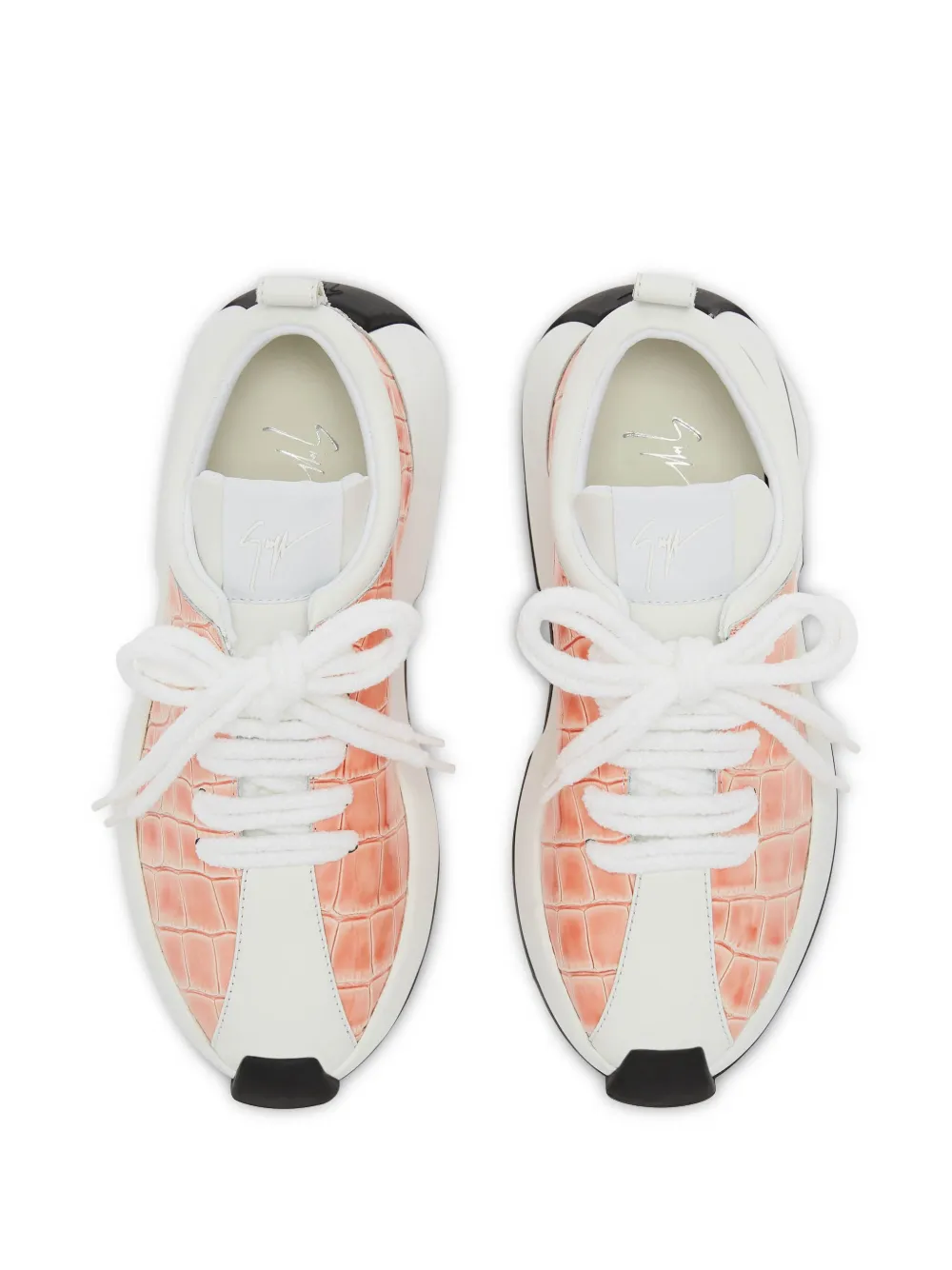 Giuseppe Zanotti Ferox sneakers Pink