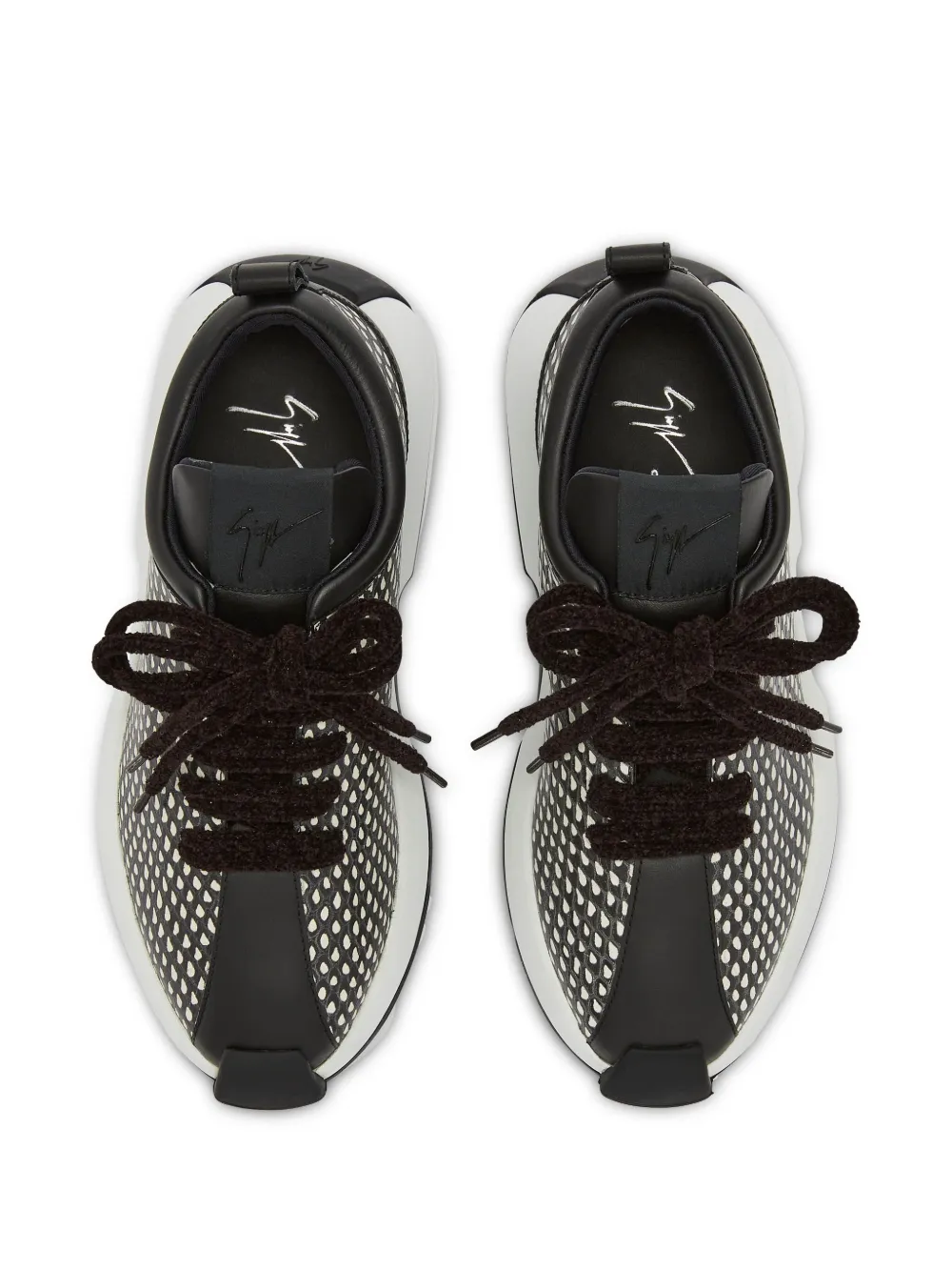 Giuseppe Zanotti Ferox sneakers Black