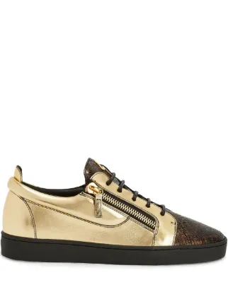 Giuseppe Zanotti