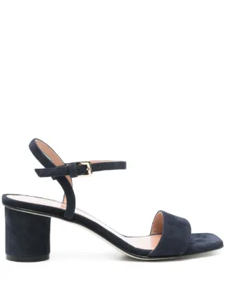 Pollini