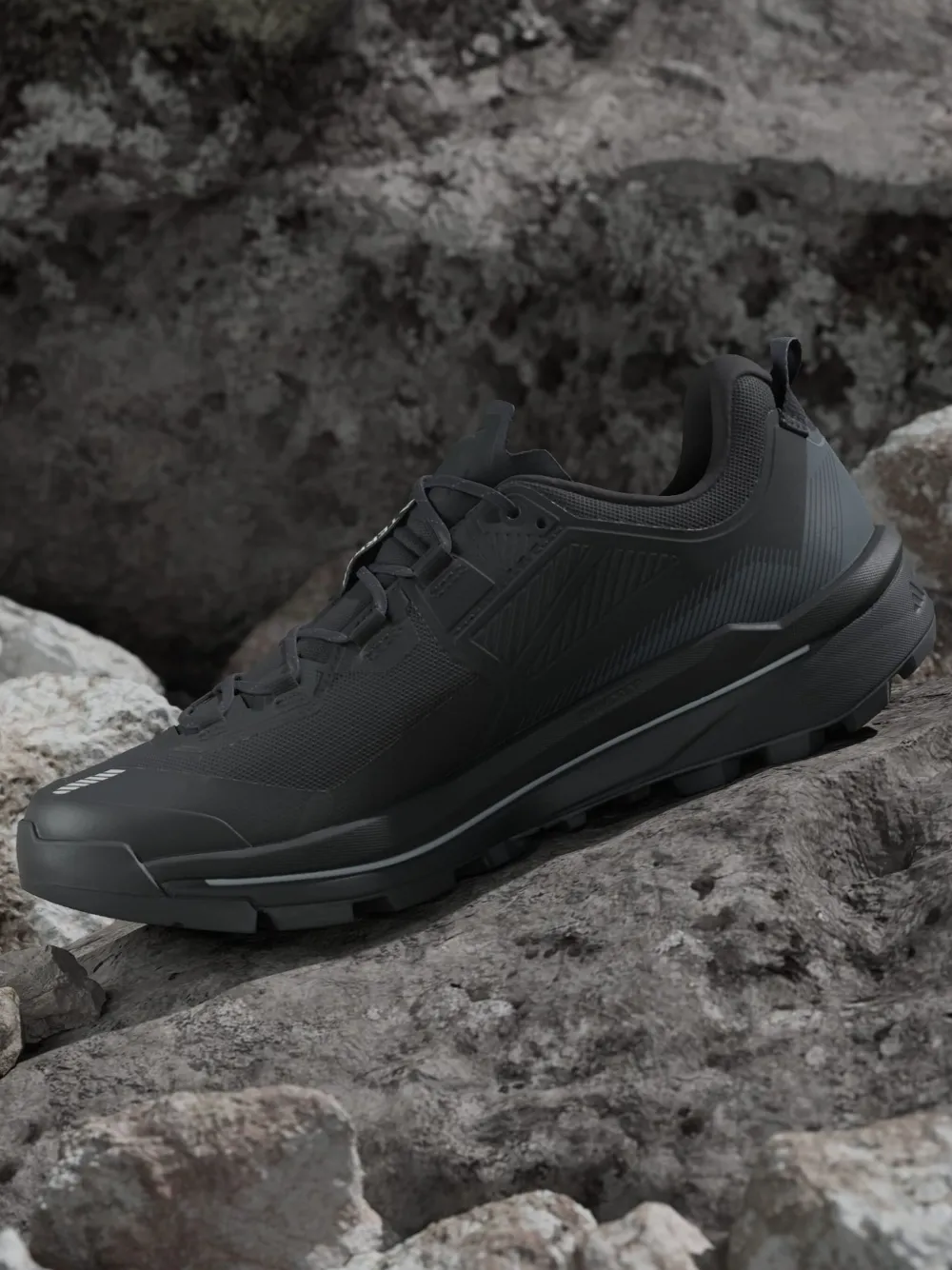 adidas Terrex sneakers Black