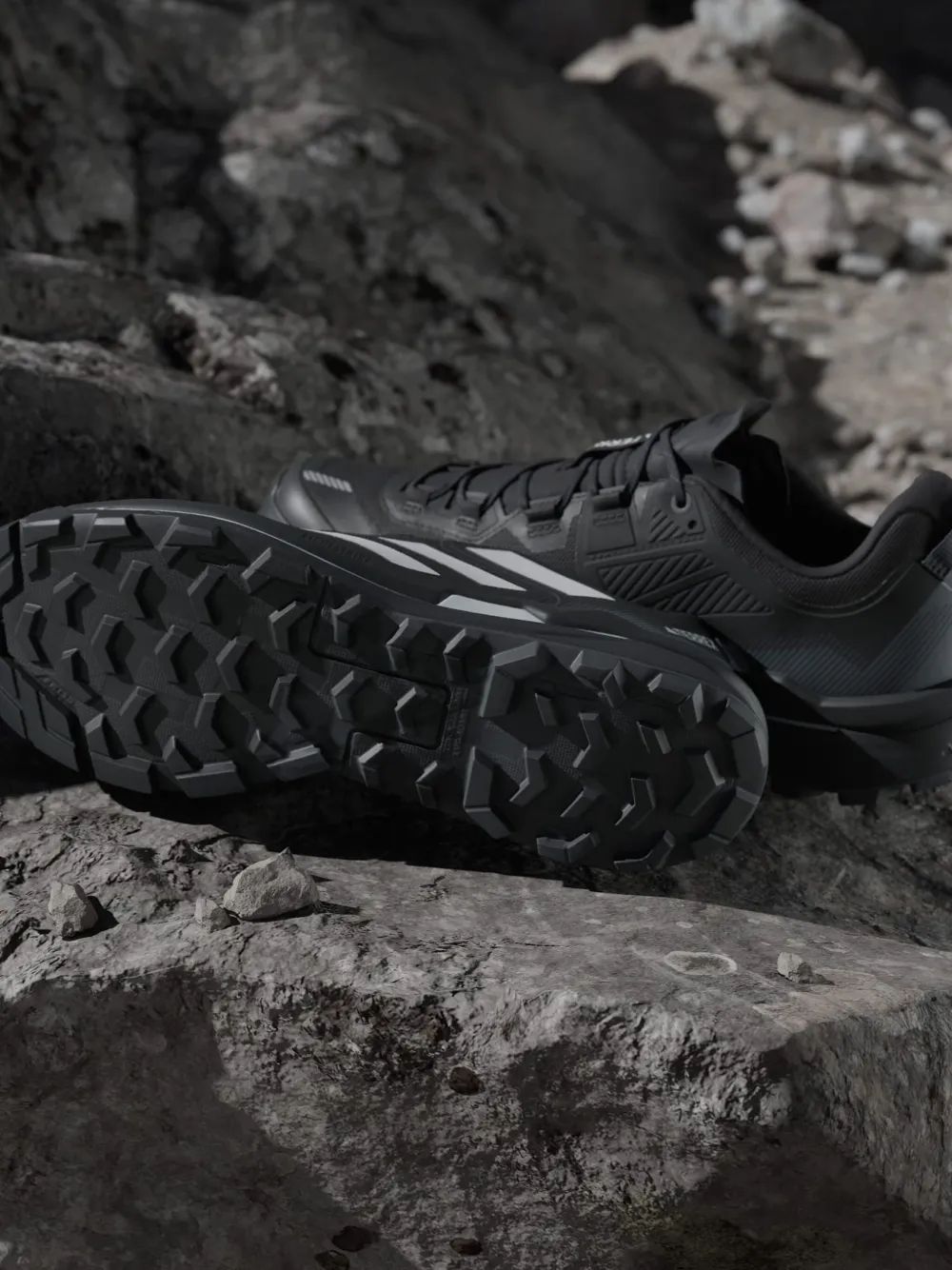 adidas Terrex sneakers Black