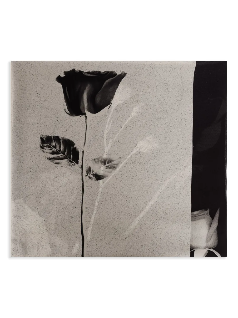 Osklen floral-print scarf | Black | Image 1