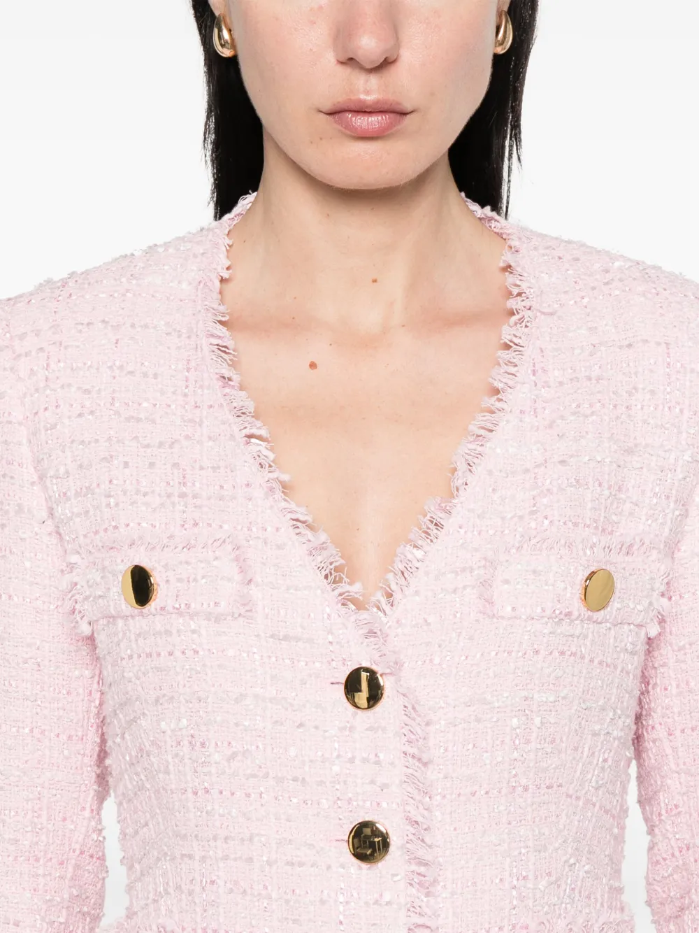 Tagliatore Tweed jack Roze