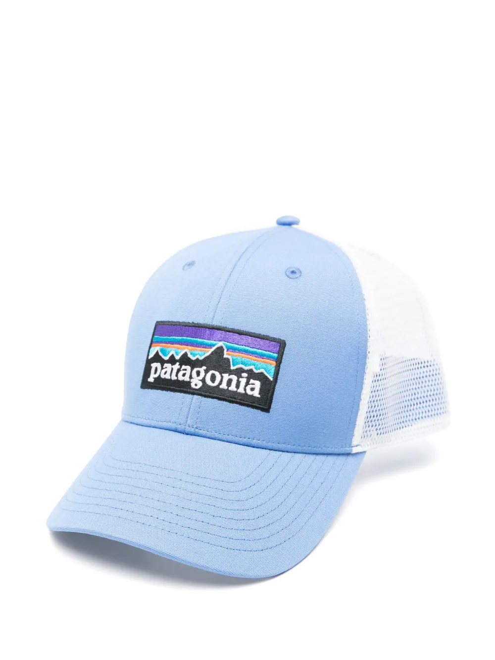 Patagonia P-6 pet Blauw