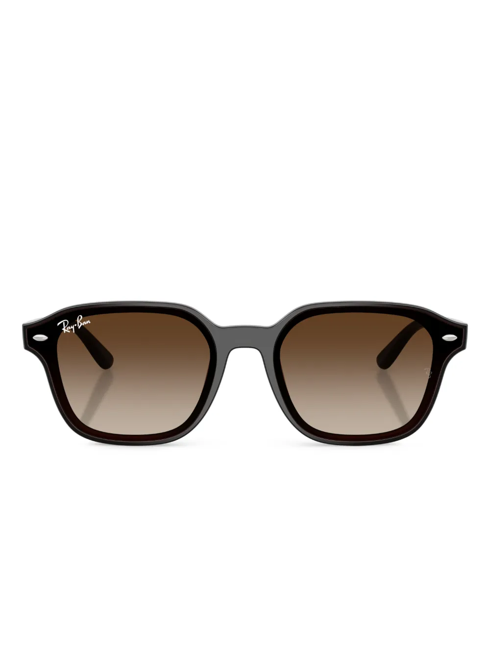 Ray-Ban RB4458D sunglasses | Brown | Image 1