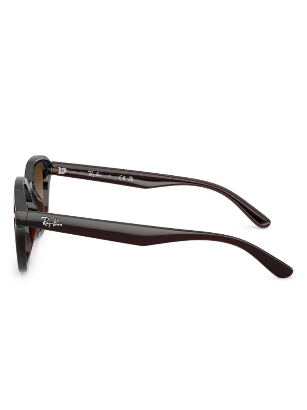 Ray-Ban RB4458D Sunglasses | Brown | FARFETCH BN