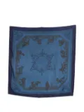 Hermès Pre-Owned 2010 x Françoise Faconnet scarf - Blue
