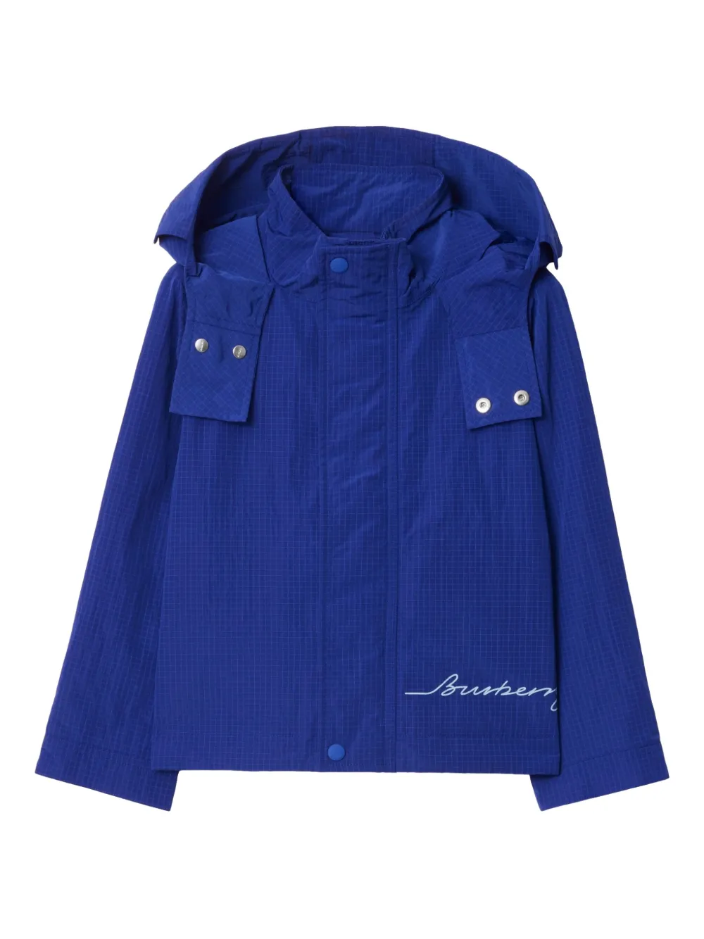 Burberry Kids Jack met logoprint Blauw