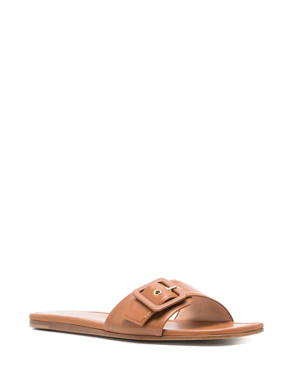 AGL Elsy slides Brown