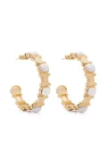 Casablanca Column hoop earrings - Gold