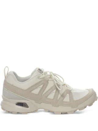 Salomon