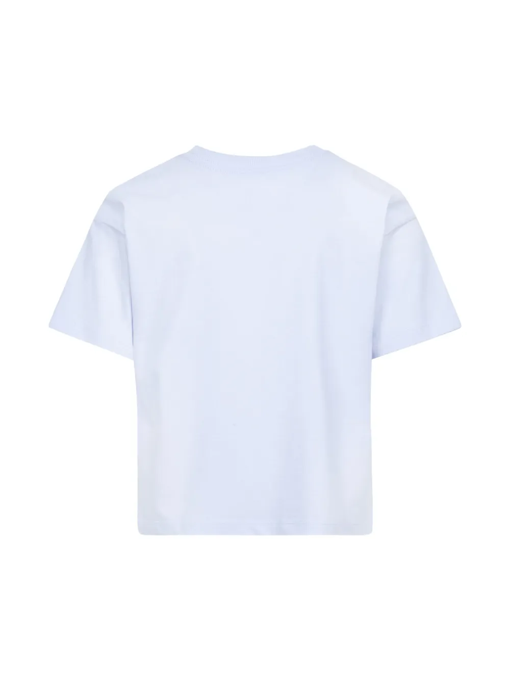 Jordan Kids 1st Baby Blue T-shirt - Grijs