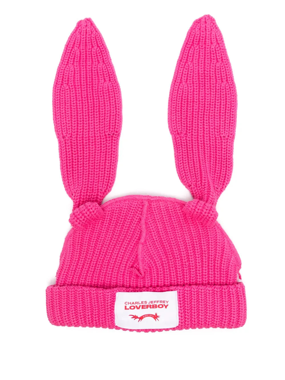 ears-detailed beanie