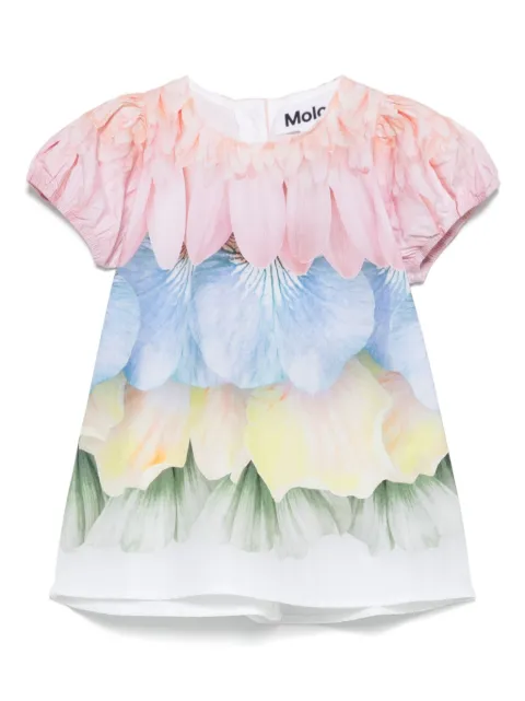 Molo Vestido Caja